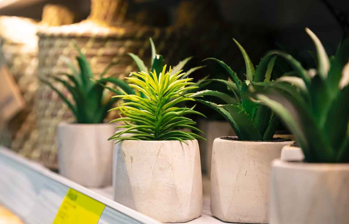 What Are the Long Term Benefits of Drought Resistant Landscaping