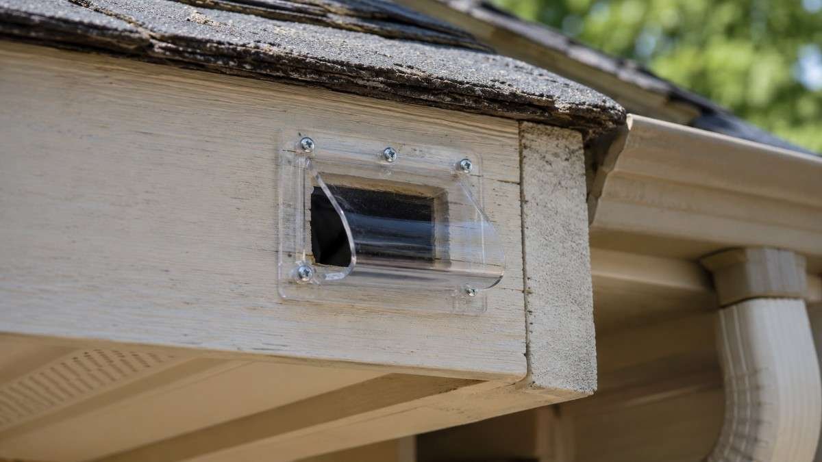 Step-by-Step Guide to Humane Wildlife Removal